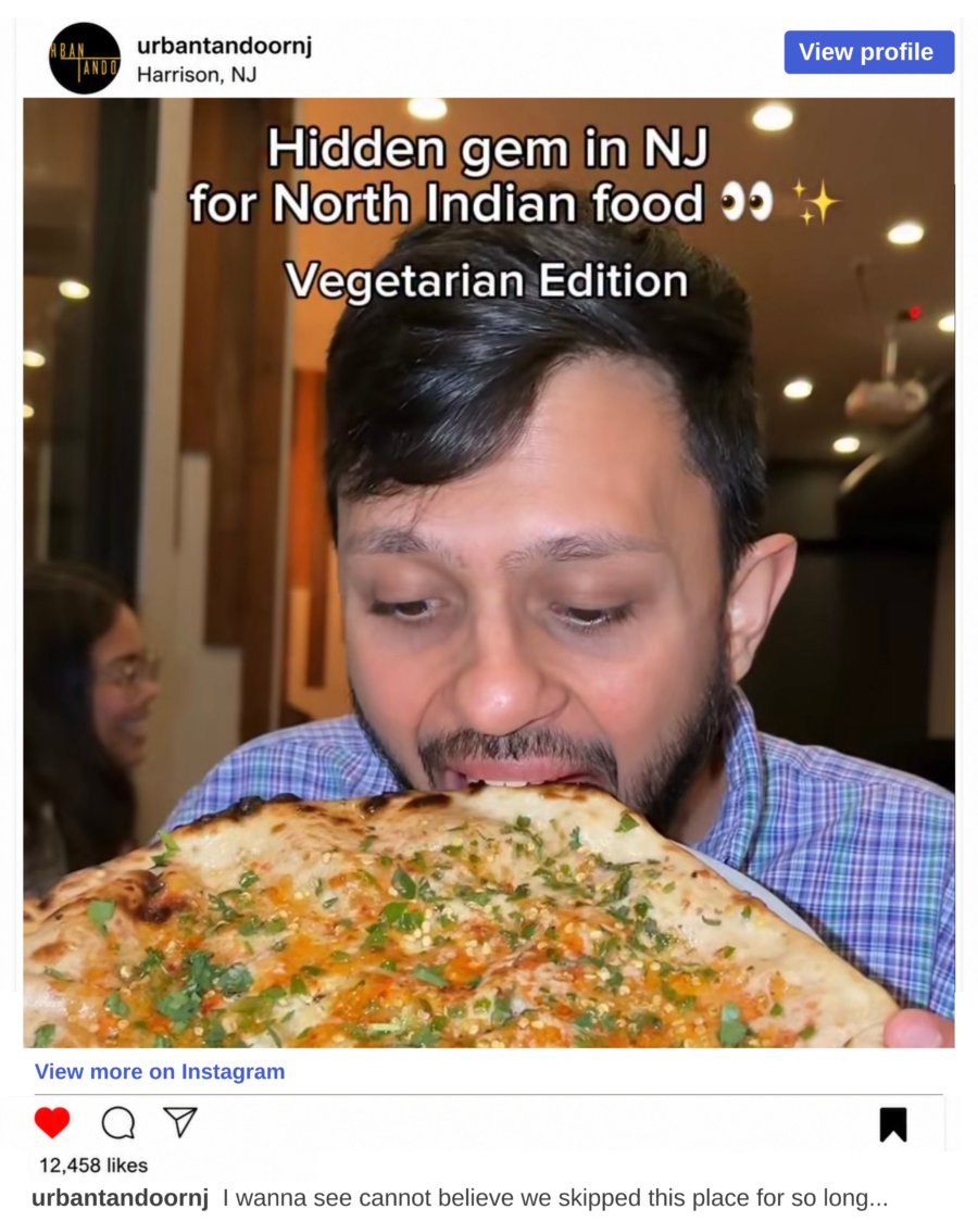 Hidden Gem in NJ for North Indian Food: A Vegetarian Experience at Urban Tandoor